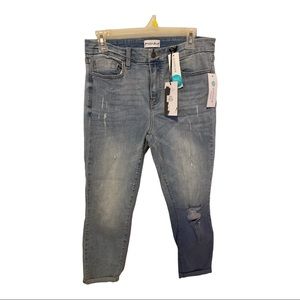 Studio Blue - Kenova Skinny Distressed Rolled Jeans
